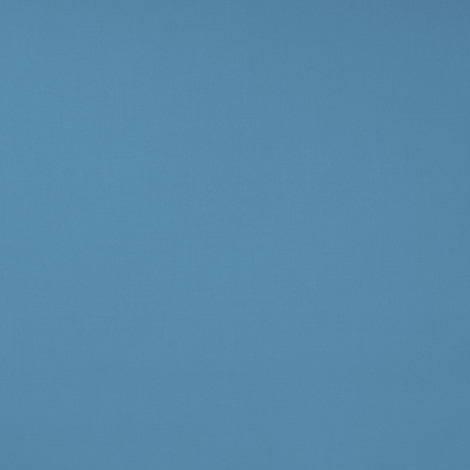 bleuet